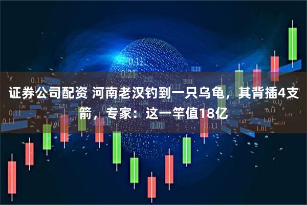 证券公司配资 河南老汉钓到一只乌龟，其背插4支箭，专家：这一竿值18亿